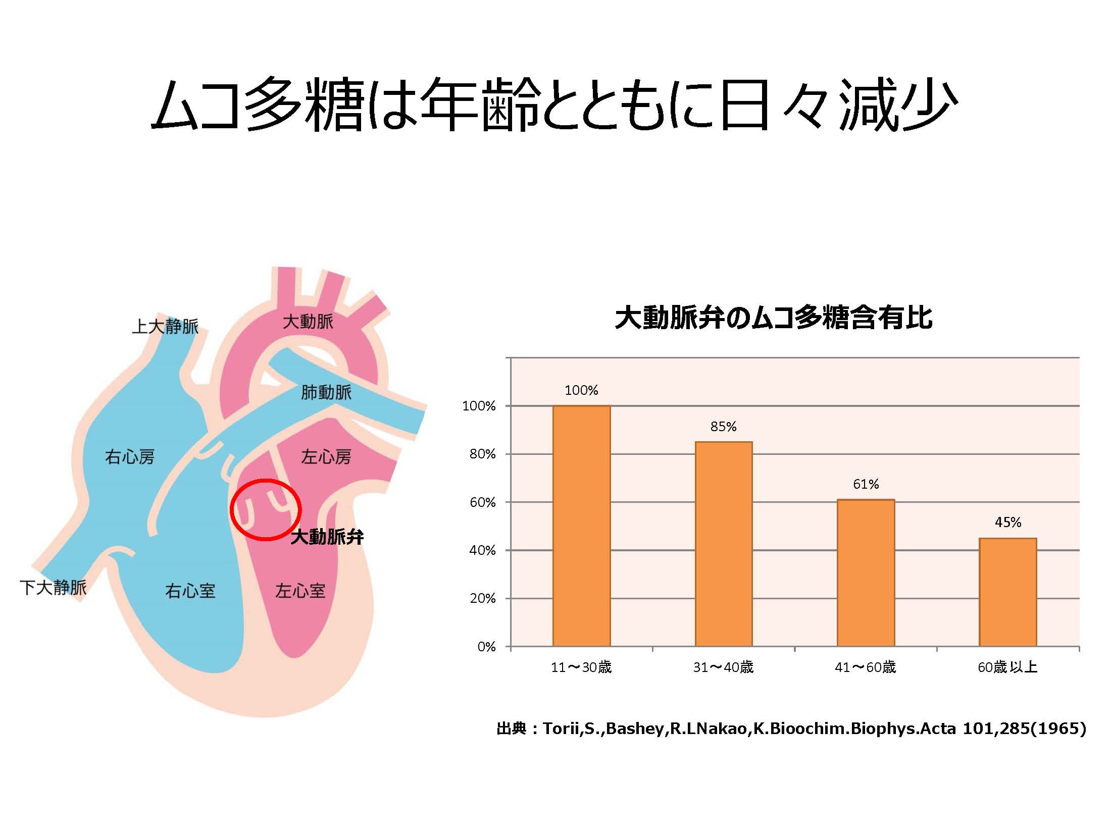 ムコ多糖 老化防止