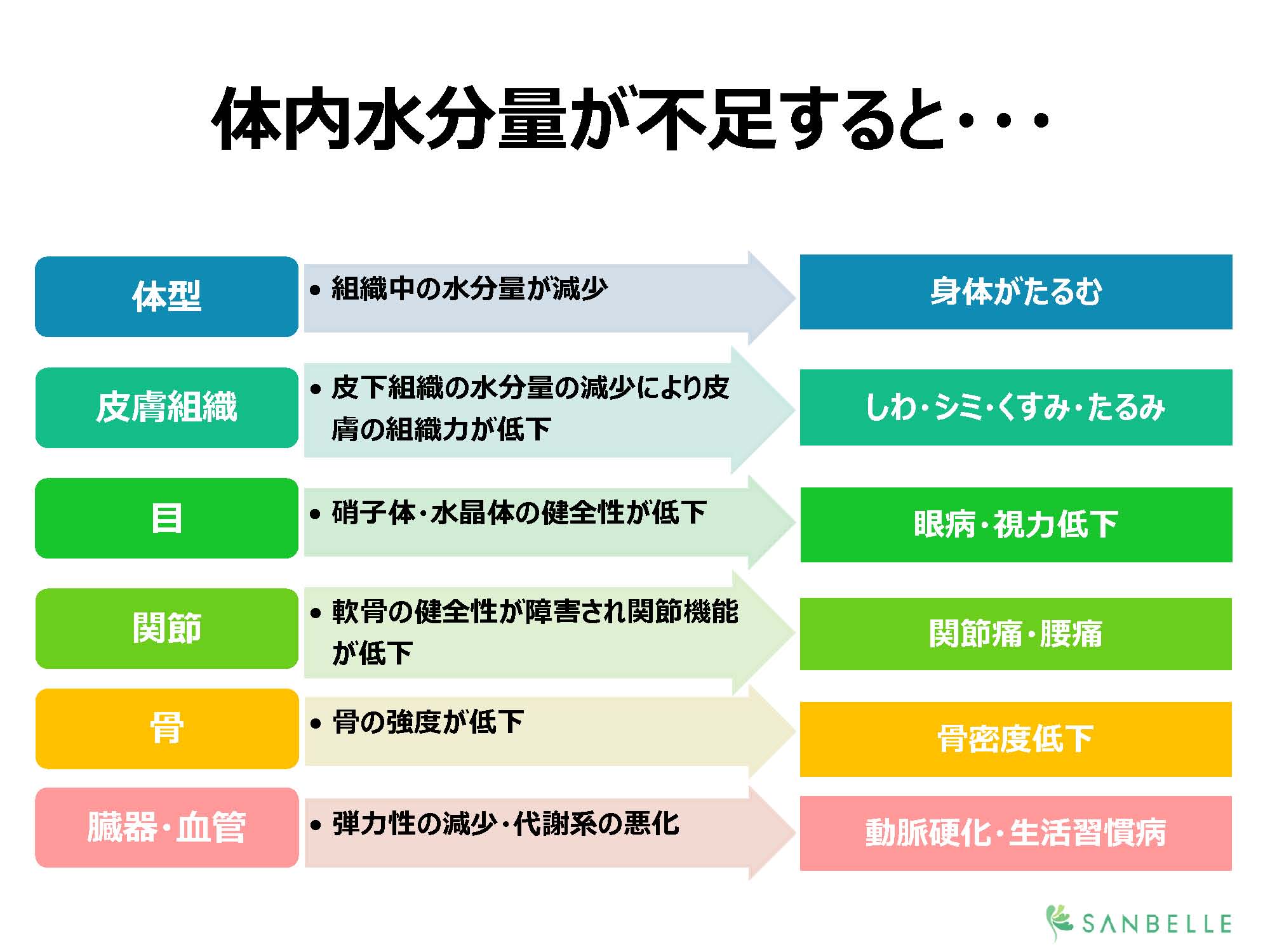 体液を蓄えるのがムコ多糖