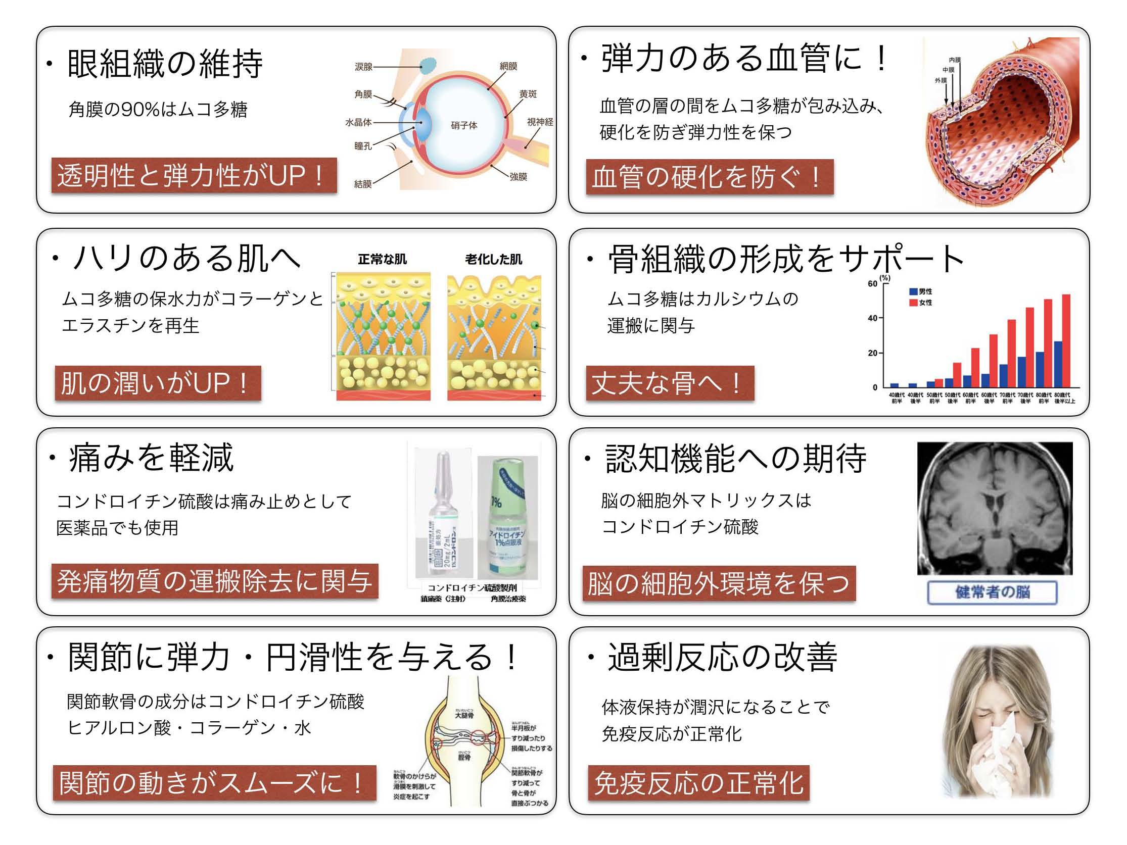 ムコ多糖 ムコテイン mukotato.com