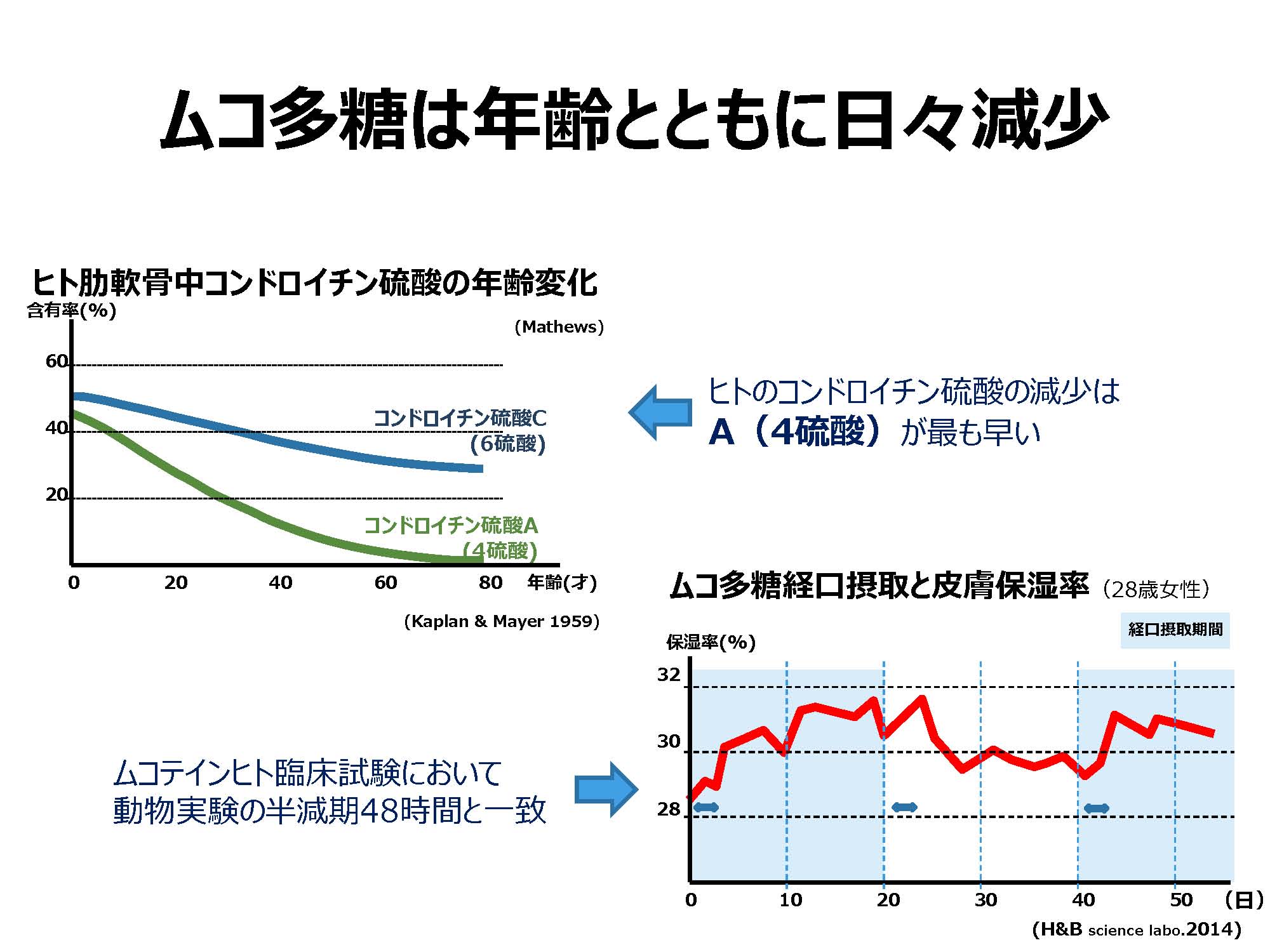 体液を蓄えるのがムコ多糖