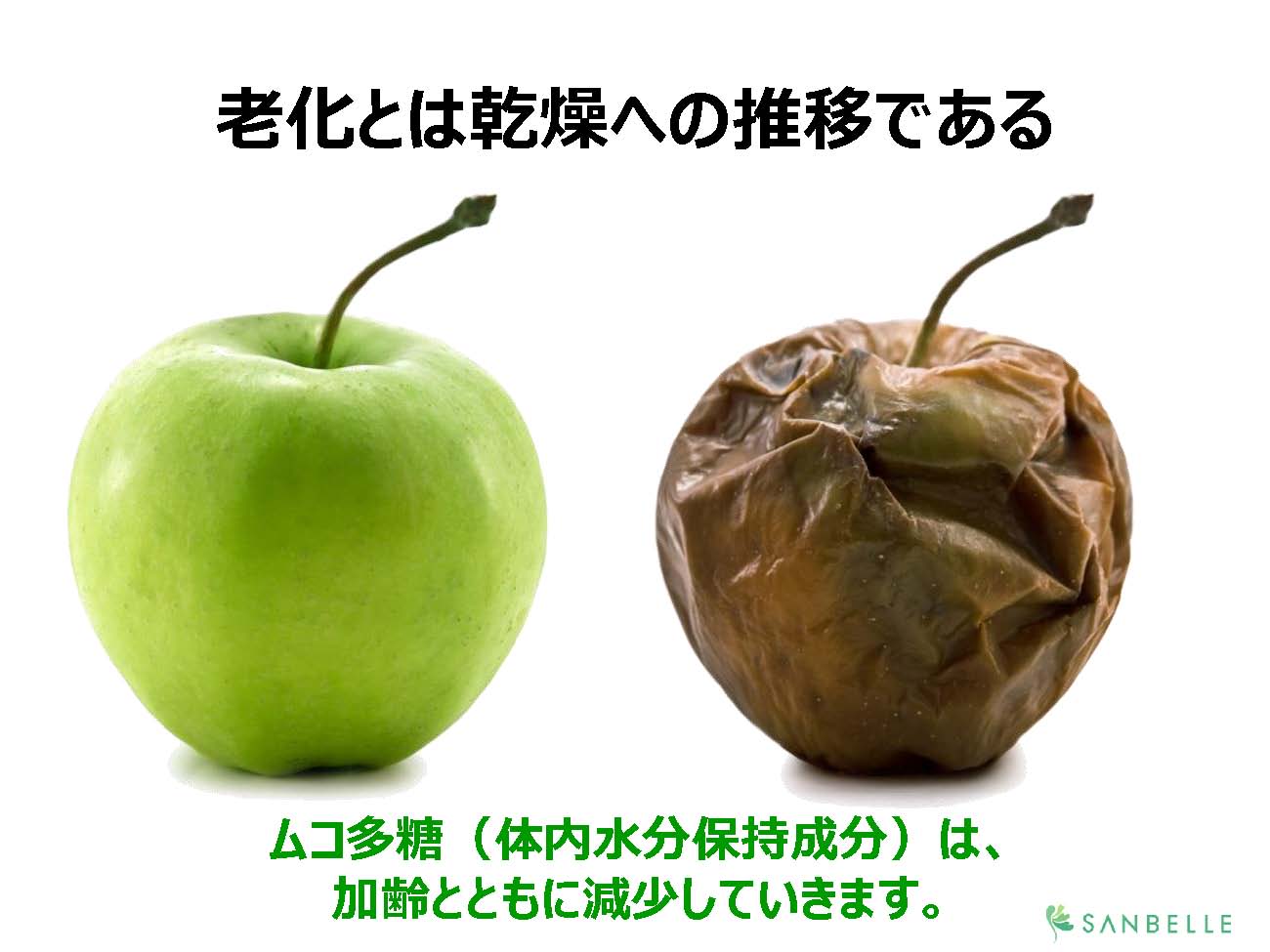 体液を蓄えるのがムコ多糖